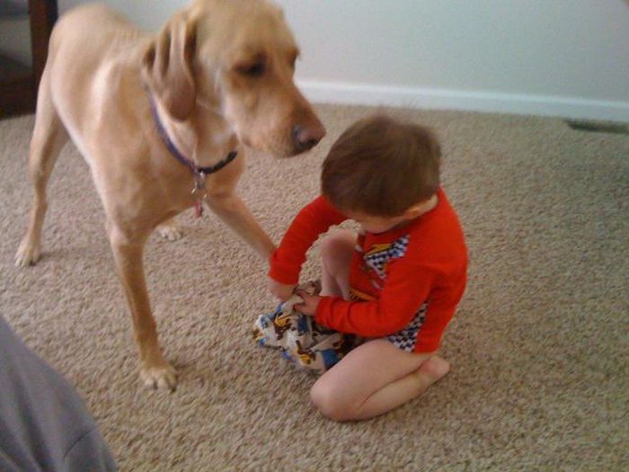 Kid and Dog Friendship (24 pics)