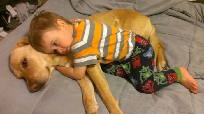 Kid and Dog Friendship (24 pics)