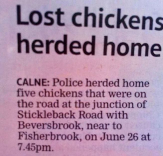 Not So Important News Stories (24 pics)