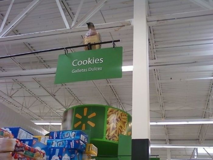 Amusing Walmart (23 pics)