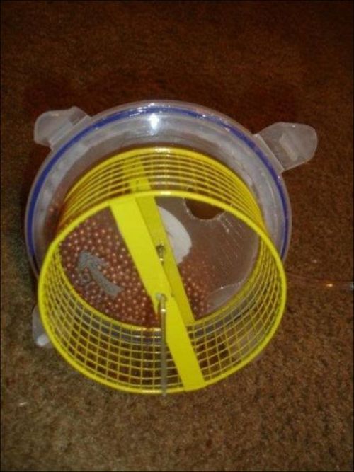 Hamster Submarine (7 pics + video)