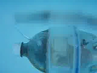 Hamster Submarine (7 pics + video)