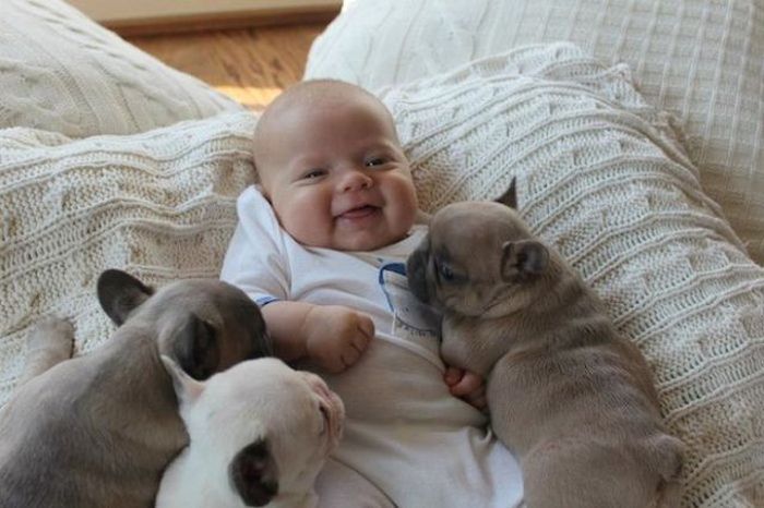 Baby and Puppies (7 pics)