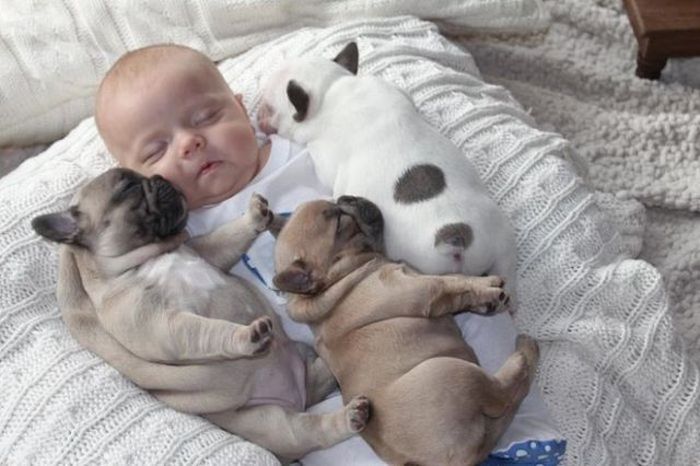 Baby and Puppies (7 pics)
