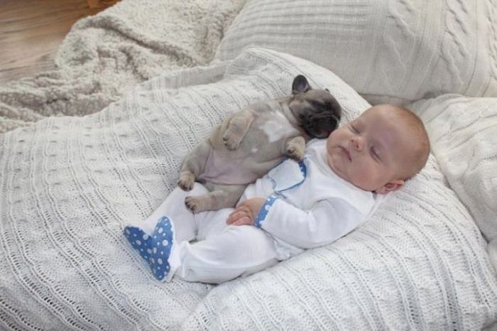 Baby and Puppies (7 pics)