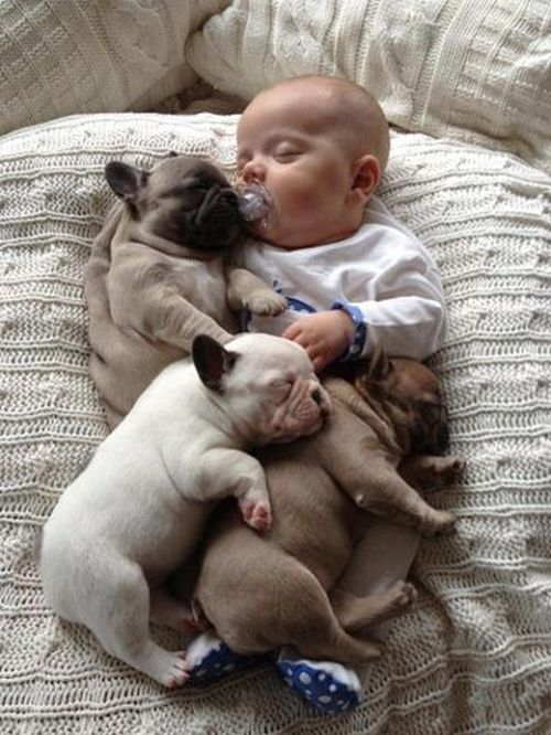 Baby and Puppies (7 pics)