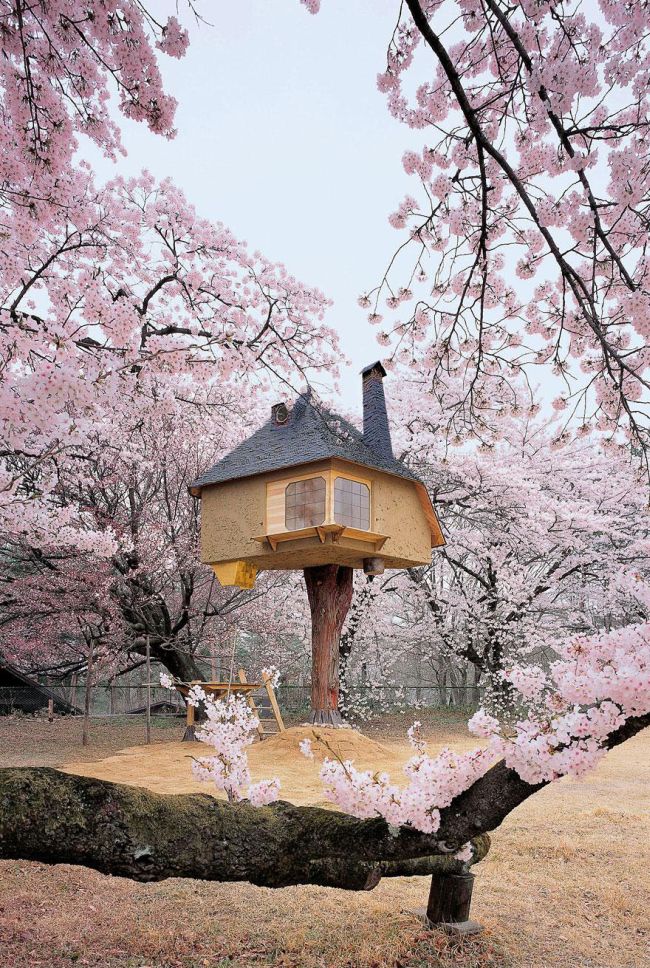 The Most Amazing Treehouses (17 pics)