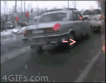GIFs That Will Restore Your Faith in Humanity (19 gifs)