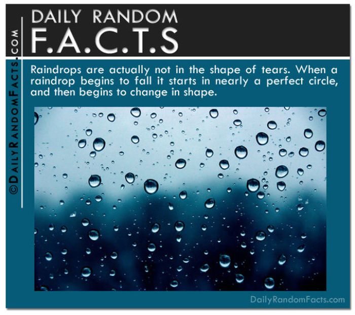 Random Facts (37 pics)