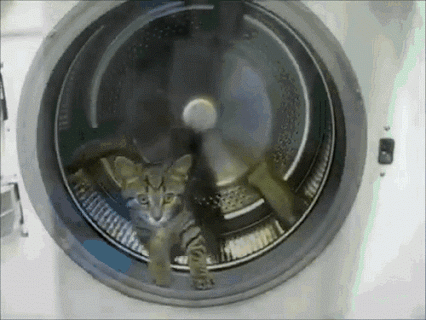 Acid Gifdump, July 29, 2013 (25 gifs)