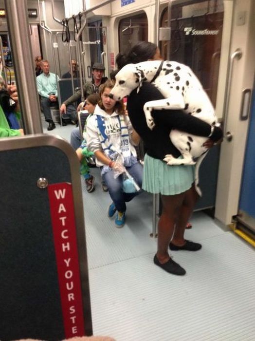 Acid Picdump (111 pics)