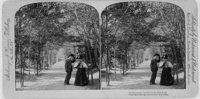 Central Park in the Early 1900s (15 pics)