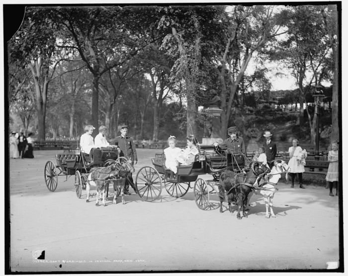 Central Park in the Early 1900s (15 pics)