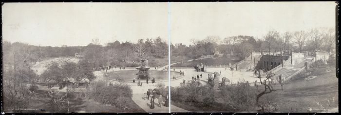 Central Park in the Early 1900s (15 pics)