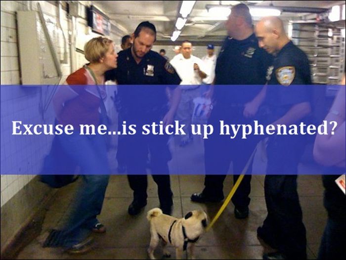 Avoid Saying These Things to a Police Officer (20 pics)