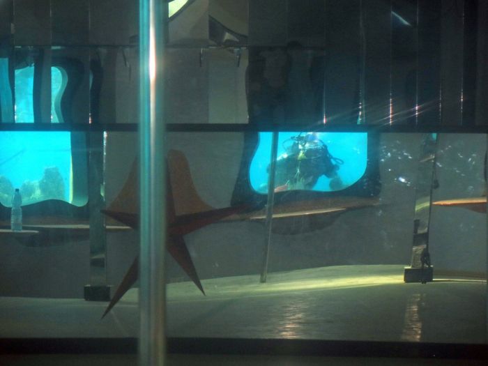 Abandoned Underwater Strip Club (12 pics)