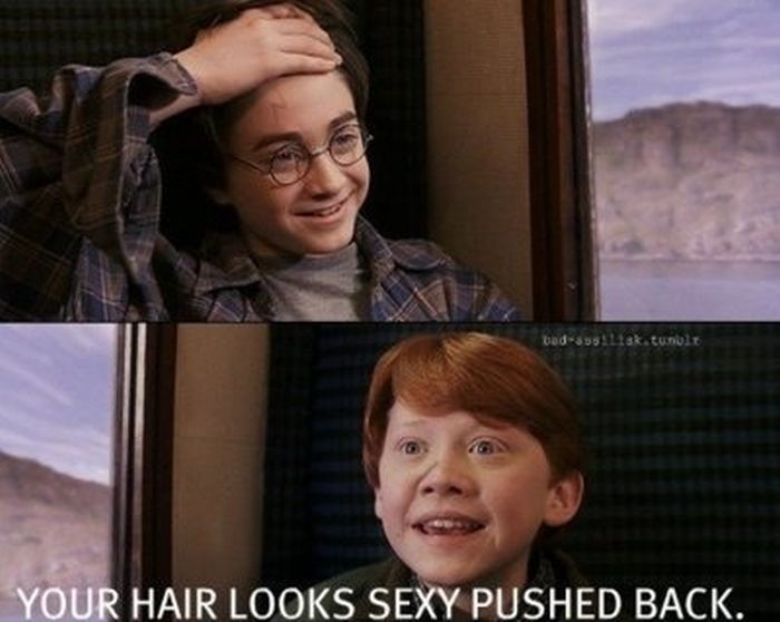 Interesting Facts about Harry Potter Movies (16 pics)