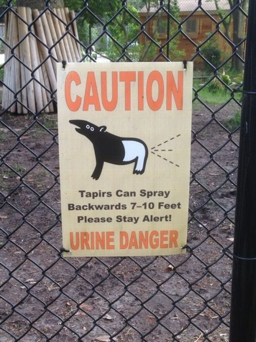 Funny and Strange Signs (22 pics)