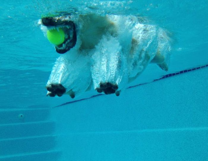At the Right Moment. Part 26 (58 pics) At the Right Moment. Part 26 (58 pics)