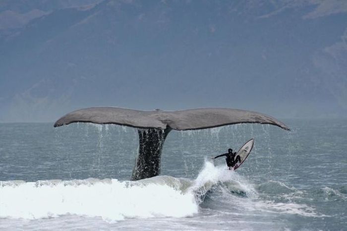 At the Right Moment. Part 26 (58 pics)