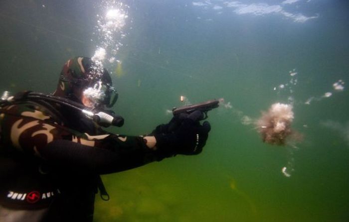 At the Right Moment. Part 26 (58 pics)