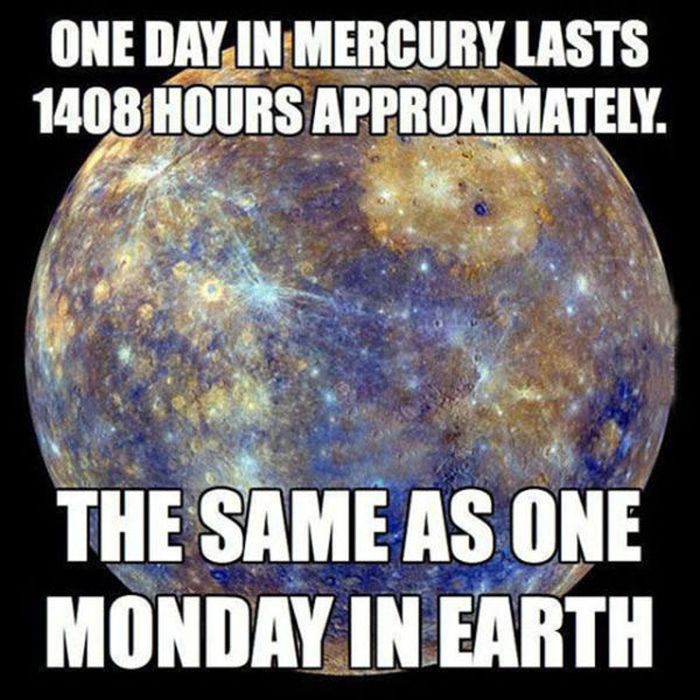 Funny Pictures with Text (60 pics)