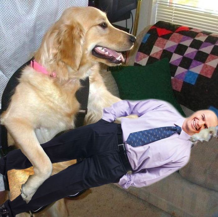 Bass Guitars Replaced by Dogs (29 pics)