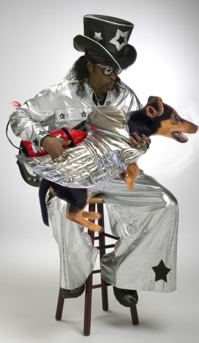 Bass Guitars Replaced by Dogs (29 pics)