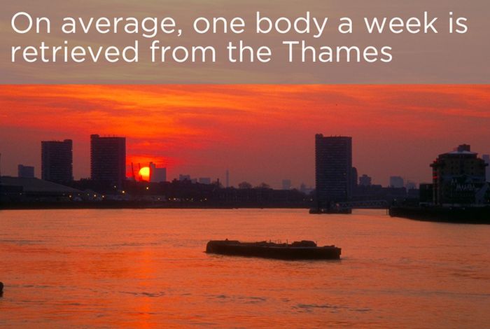 Interesting Facts About The River Thames (22 pics)