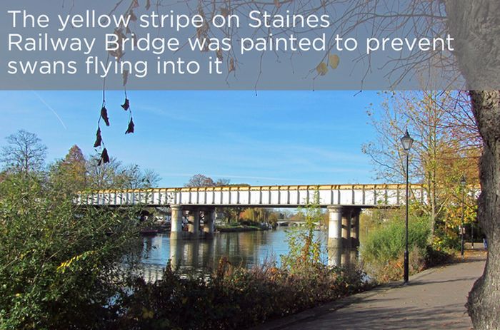 Interesting Facts About The River Thames (22 pics)