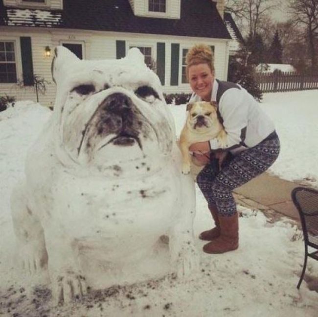 Awesome Pet Owners (20 pics)