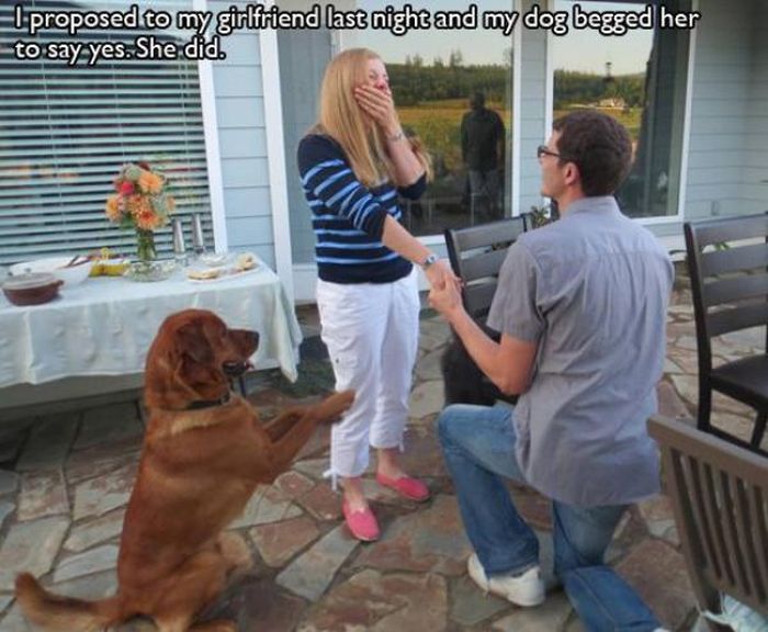 Awesome Pet Owners (20 pics)