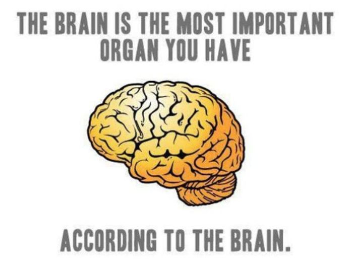 You Can't Say It Better (55 pics)