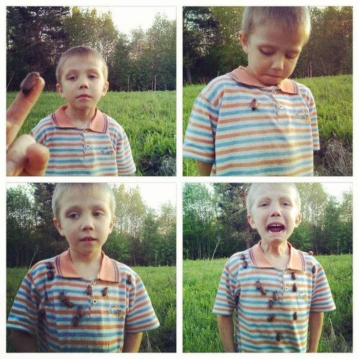Acid Picdump (121 pics)
