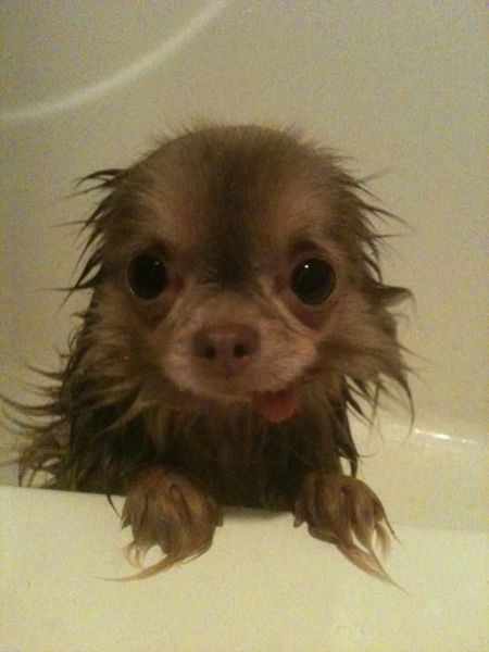 Acid Picdump (121 pics)