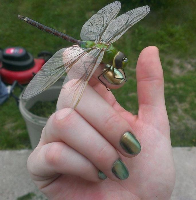 Acid Picdump (121 pics)