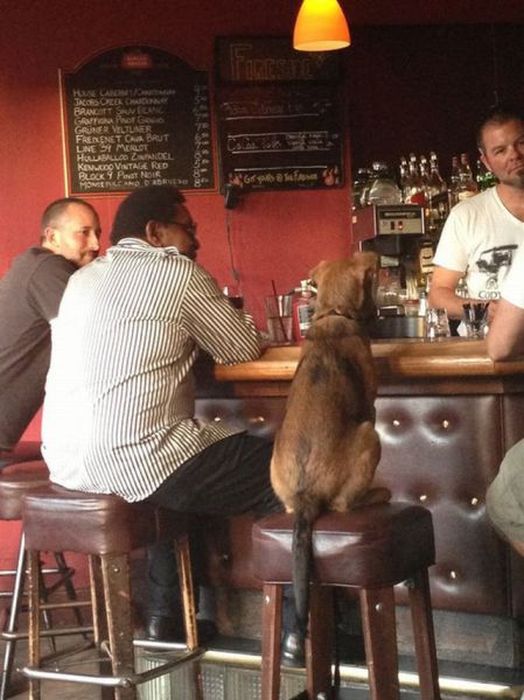 Acid Picdump (121 pics)