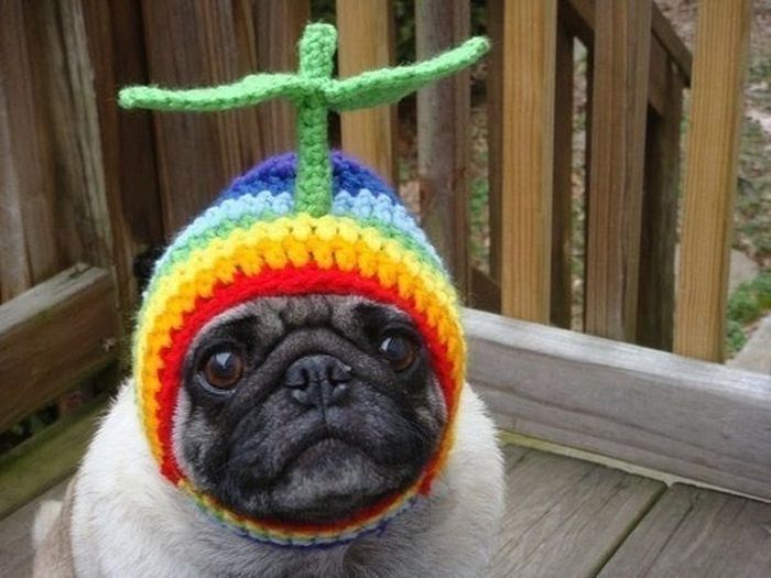 Acid Picdump (121 pics)