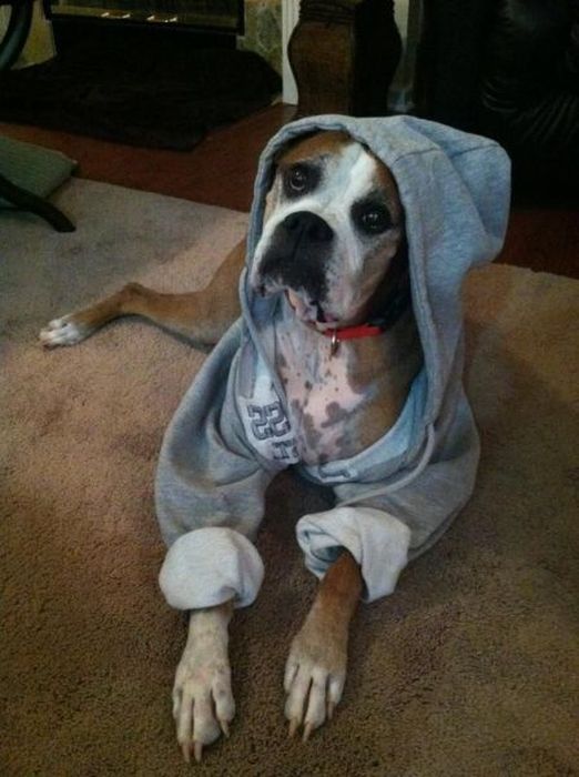 Acid Picdump (121 pics)