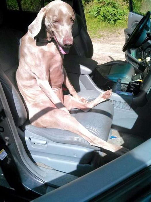 Acid Picdump (121 pics)
