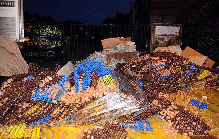 100,000 Eggs Smashed (10 pics)