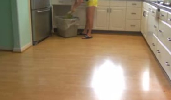Shark Cleaning The Kitchen