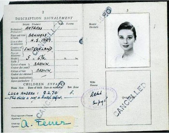 Vintage Celebrity Passport Photos (14 pics)