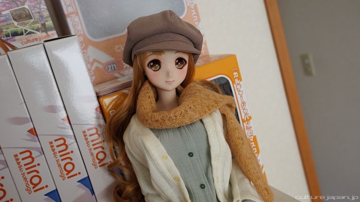 Guy Builds an Anime Doll (43 pics)