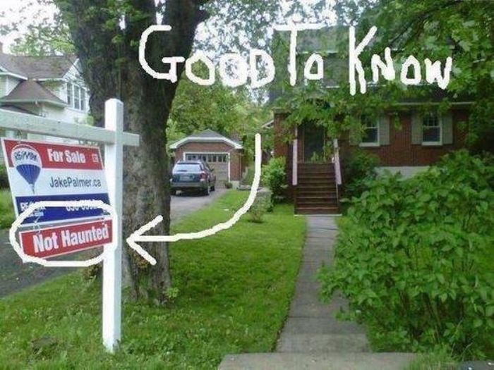 This Is Not Suspicious at All (65 pics)