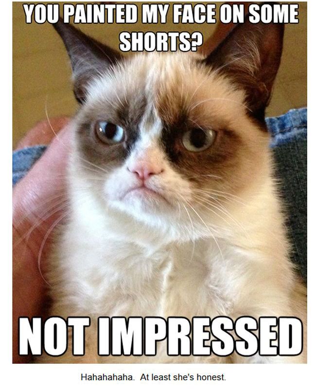 Grumpy Cat Shorts (9 pics)