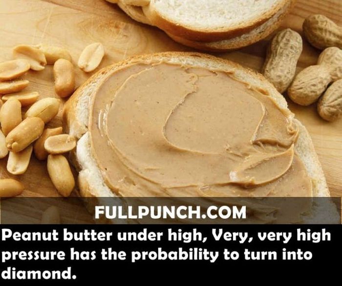 Yet Another Selection of Facts (44 pics)