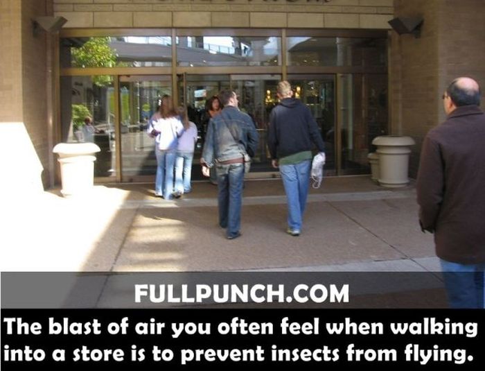 Yet Another Selection of Facts (44 pics)