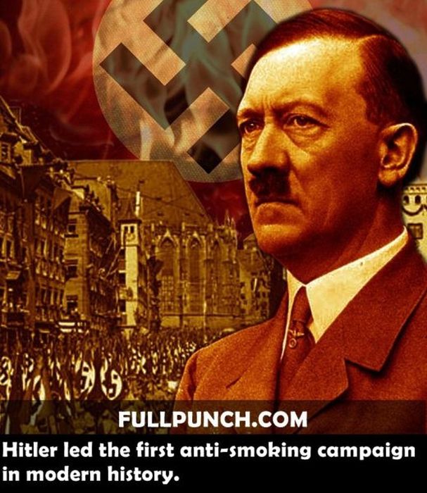 Yet Another Selection of Facts (44 pics)