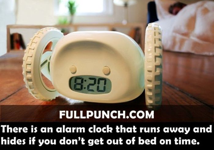 Yet Another Selection of Facts (44 pics)